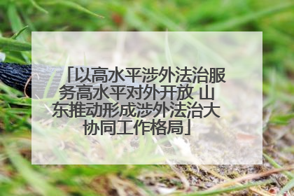 以高水平涉外法治服务高水平对外开放 山东推动形成涉外法治大协同工作格局