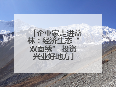企业家走进益林：经济生态“双面绣” 投资兴业好地方