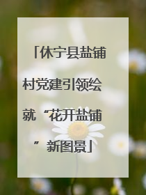 休宁县盐铺村党建引领绘就“花开盐铺”新图景