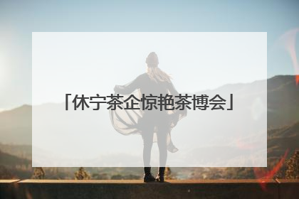 休宁茶企惊艳茶博会