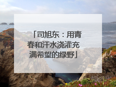 司旭东：用青春和汗水浇灌充满希望的绿野