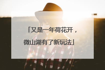 又是一年荷花开，微山湖有了新玩法