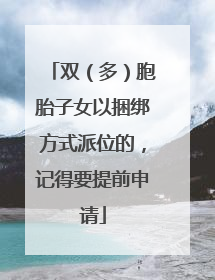双（多）胞胎子女以捆绑方式派位的，记得要提前申请