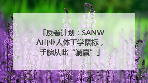 反卷计划：SANWA山业人体工学鼠标，手腕从此“躺赢”