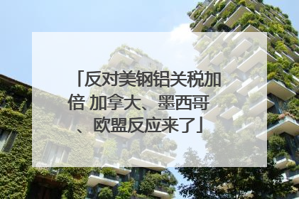 反对美钢铝关税加倍 加拿大、墨西哥、欧盟反应来了