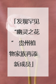 发现罕见“幽灵之花” 贵州植物家族再添新成员