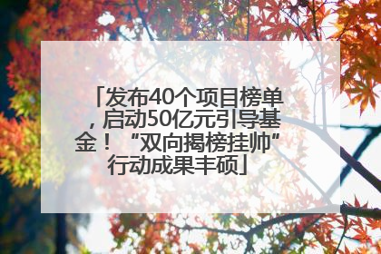 发布40个项目榜单，启动50亿元引导基金！“双向揭榜挂帅”行动成果丰硕