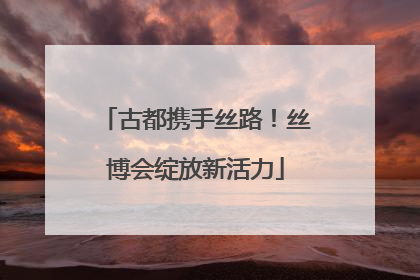 古都携手丝路！丝博会绽放新活力