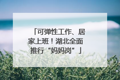 可弹性工作、居家上班！湖北全面推行“妈妈岗”