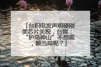 台积电发声明硬刚美芯片关税，台媒：“护岛神山”不想跪，赖当局呢？