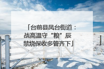 台前县凤台街道：战高温守“粮”辰 禁烧保收多管齐下