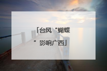 台风“蝴蝶”影响广西