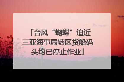 台风“蝴蝶”迫近 三亚海事局辖区货船码头均已停止作业