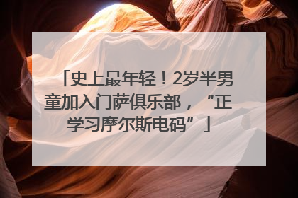 史上最年轻！2岁半男童加入门萨俱乐部，“正学习摩尔斯电码”