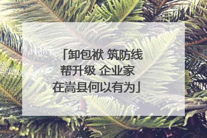 卸包袱 筑防线 帮升级 企业家在嵩县何以有为
