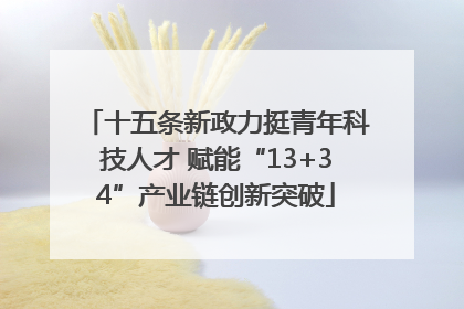 十五条新政力挺青年科技人才 赋能“13+34”产业链创新突破