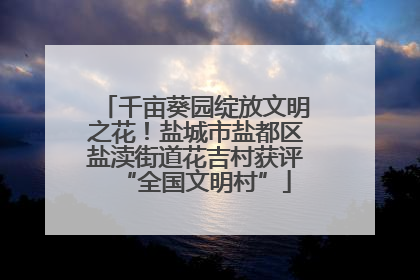 千亩葵园绽放文明之花！盐城市盐都区盐渎街道花吉村获评“全国文明村”