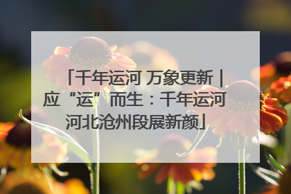千年运河 万象更新｜应“运”而生：千年运河河北沧州段展新颜