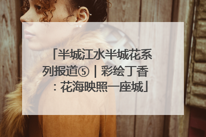 半城江水半城花系列报道⑤｜彩绘丁香：花海映照一座城