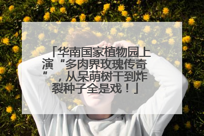 华南国家植物园上演“多肉界玫瑰传奇”，从呆萌树干到炸裂种子全是戏！