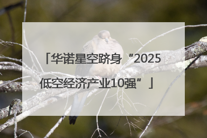 华诺星空跻身“2025低空经济产业10强”