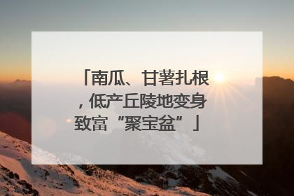 南瓜、甘薯扎根，低产丘陵地变身致富“聚宝盆”
