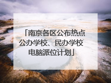 南京各区公布热点公办学校、民办学校电脑派位计划