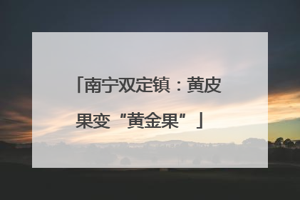 南宁双定镇：黄皮果变“黄金果”