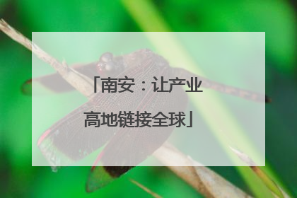 南安：让产业高地链接全球