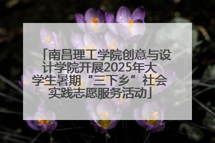 南昌理工学院创意与设计学院开展2025年大学生暑期“三下乡”社会实践志愿服务活动