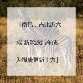 南昌：占比近六成 新能源汽车成为报废更新主力