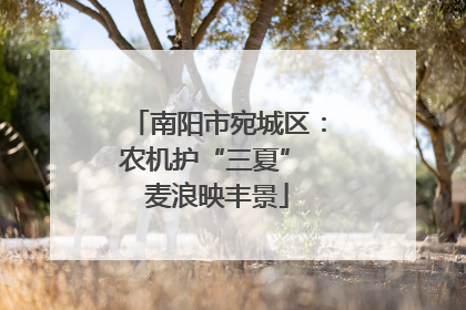南阳市宛城区：农机护“三夏” 麦浪映丰景