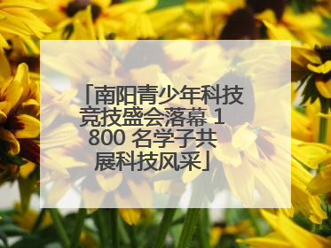 南阳青少年科技竞技盛会落幕 1800 名学子共展科技风采