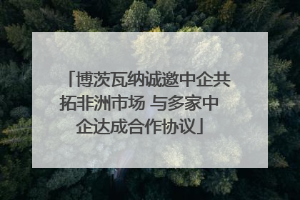 博茨瓦纳诚邀中企共拓非洲市场 与多家中企达成合作协议