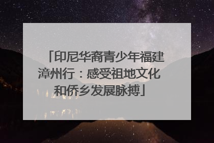 印尼华裔青少年福建漳州行：感受祖地文化和侨乡发展脉搏