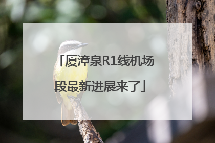 厦漳泉R1线机场段最新进展来了