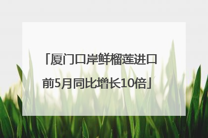 厦门口岸鲜榴莲进口 前5月同比增长10倍