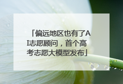 偏远地区也有了AI志愿顾问，首个高考志愿大模型发布