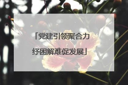 党建引领聚合力 纾困解难促发展