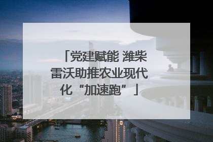 党建赋能 潍柴雷沃助推农业现代化“加速跑”