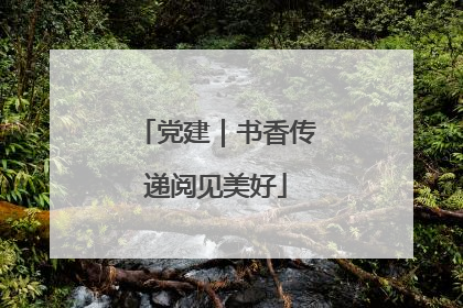 党建｜书香传递阅见美好