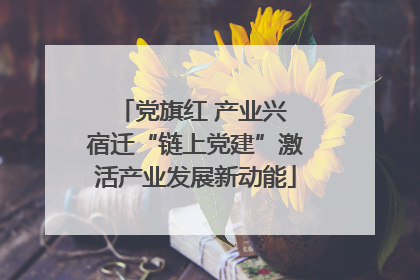 党旗红 产业兴 宿迁“链上党建”激活产业发展新动能