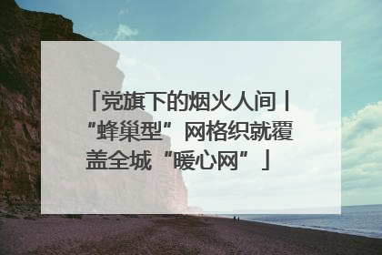 党旗下的烟火人间丨“蜂巢型”网格织就覆盖全城“暖心网”