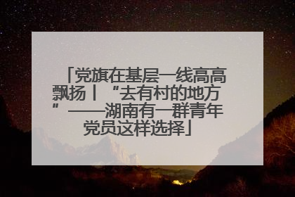 党旗在基层一线高高飘扬丨“去有村的地方”——湖南有一群青年党员这样选择