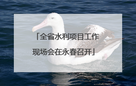 全省水利项目工作现场会在永春召开