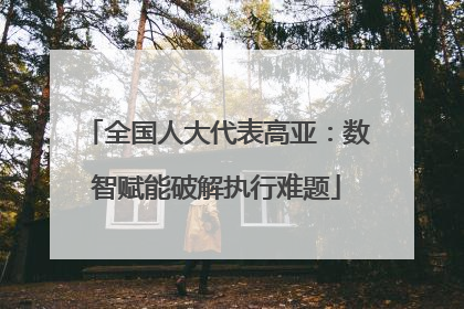 全国人大代表高亚：数智赋能破解执行难题