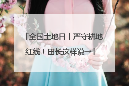 全国土地日丨严守耕地红线！田长这样说→