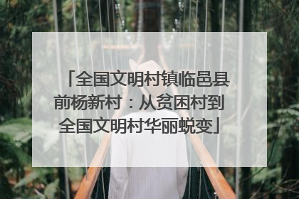 全国文明村镇临邑县前杨新村：从贫困村到全国文明村华丽蜕变