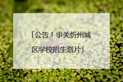 公告！事关忻州城区学校招生划片