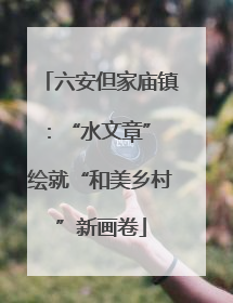 六安但家庙镇：“水文章” 绘就“和美乡村”新画卷